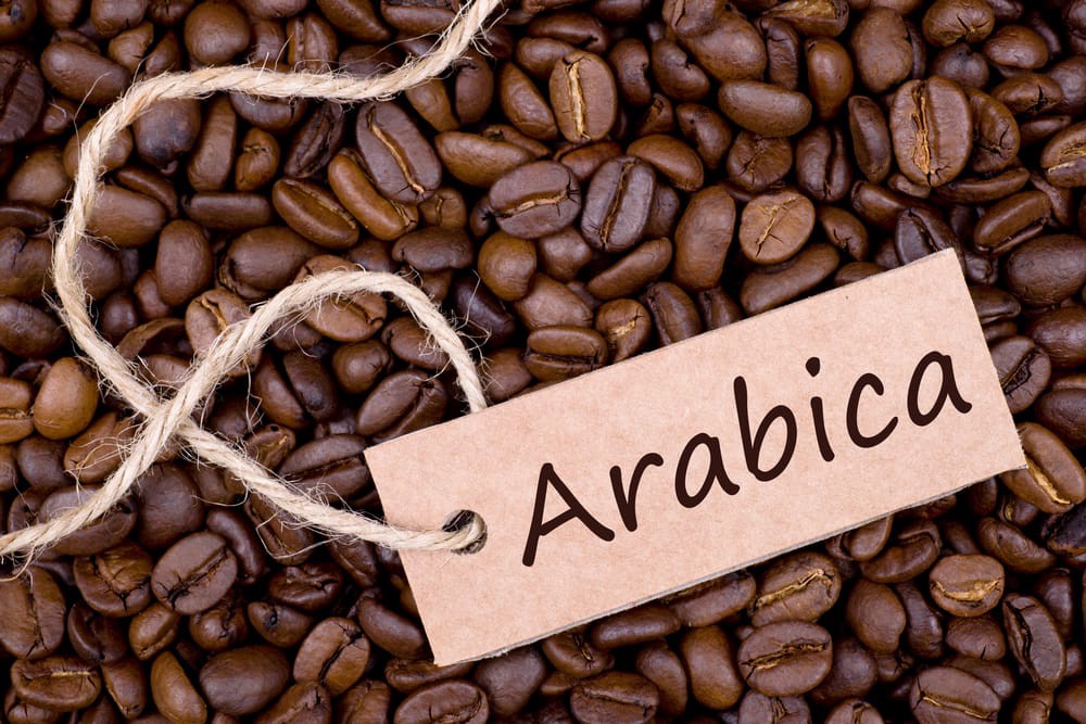 دانه قهوه عربیکا
