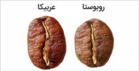 تفاوت قهوه ربوستا و عربیکا