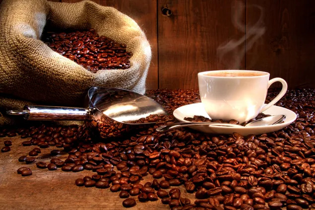 برای قهوه دمی و اسپرسو کدام مدل مناسب تر است ؟