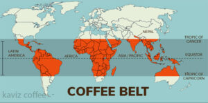 کمربند قهوه روی نقشه