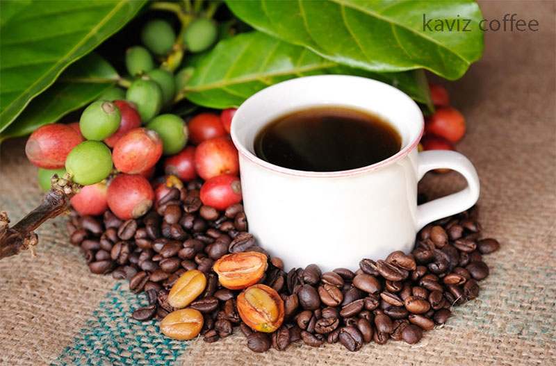 یک فنجان قهوه ارگانیک و دانه های قهوه و مصون ماندن از آفات و خشرات